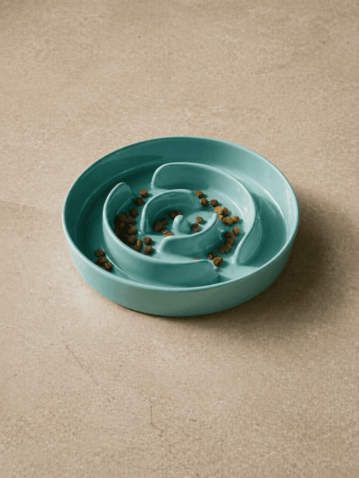 adjustable-elevated-slow-feeder-bowl