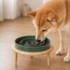 Adjustable Elevated Slow Feeder Bowl | IPAWLIO