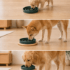 Adjustable Elevated Slow Feeder Bowl | IPAWLIO