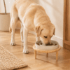 Adjustable Elevated Slow Feeder Bowl | IPAWLIO