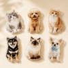 Custom Pet Photo Fridge Magnet | Personalized Dog & Cat Magnet