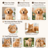 Custom Pet Portrait Canvas | Personalized Dog & Cat Wall Art