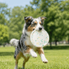 E-TPU Dog Flying Disc Toy | Soft Floating Fetch Disc for Dogs