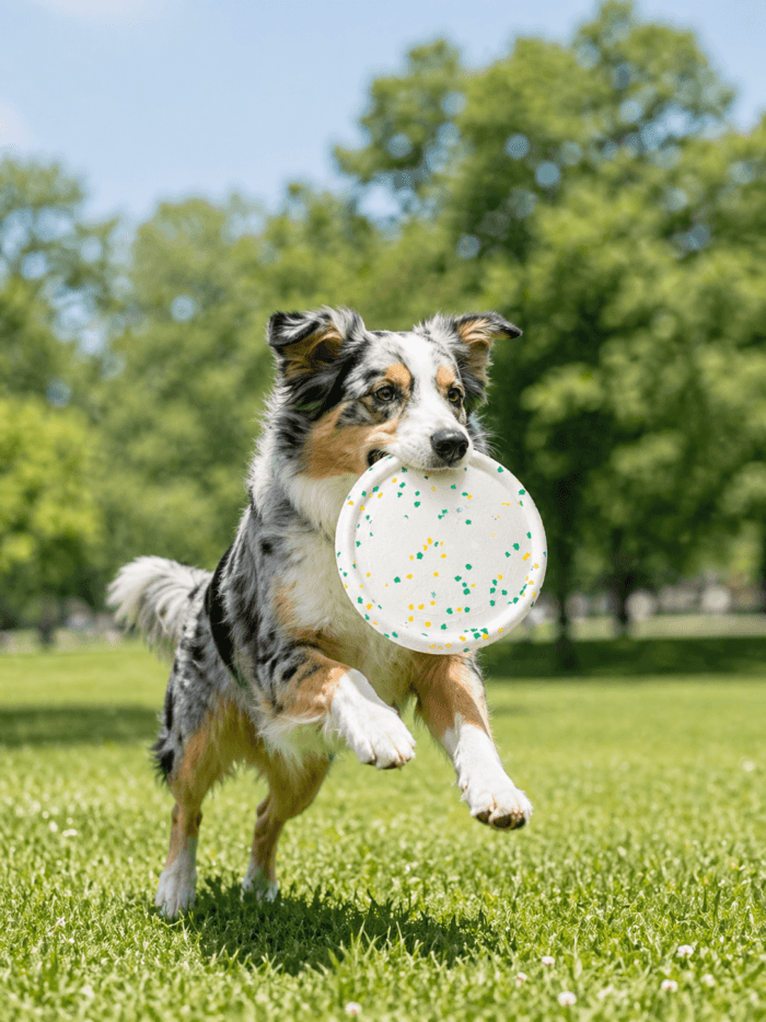 E-TPU Dog Flying Disc Toy | Soft Floating Fetch Disc for Dogs