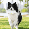 E-TPU Dog Flying Disc Toy | Soft Floating Fetch Disc for Dogs