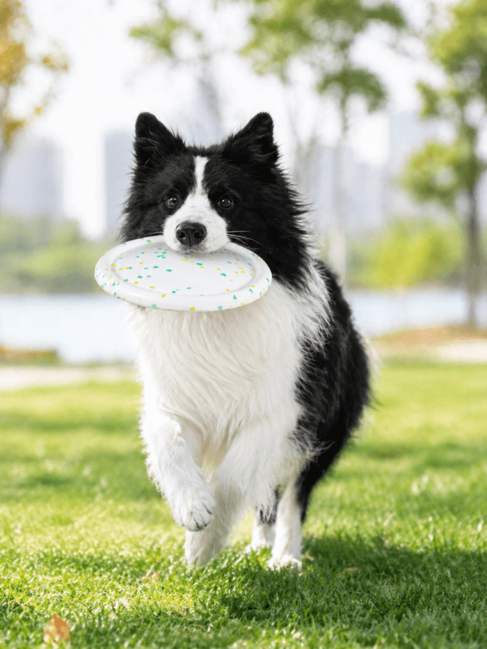 E-TPU Dog Flying Disc Toy | Soft Floating Fetch Disc for Dogs