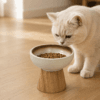 Cat eating dry food from an elevated ceramic cat bowl with wooden stand