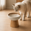 Cat drinking water from a raised ceramic cat bowl with wooden stand