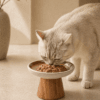 Cat eating wet food from a shallow ceramic dish with wooden stand