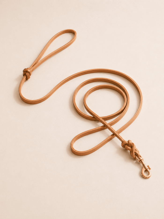 Full-length genuine leather slip lead dog leash with handle loop and brass clip
