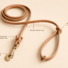 Genuine leather slip lead dog leash with leather body, handle loop, knot detail, and brass hardware