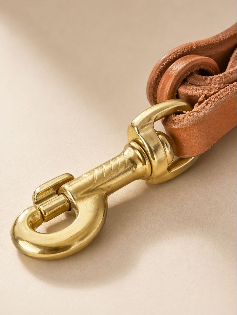 premium-genuine-leather-dog-leash ipawlio