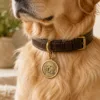 Custom Engraved Brass Pet Tag gallery image 3 with custom dog or cat portrait detail by IPAWLIO