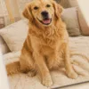 Custom Pet Portrait Puzzle Personalized Keepsake Art Custom Pet Portrait Puzzle gallery image 3 showing personalized design details