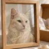 Custom Pet Portrait Glass Art gallery image 3 with custom dog or cat portrait detail by IPAWLIO