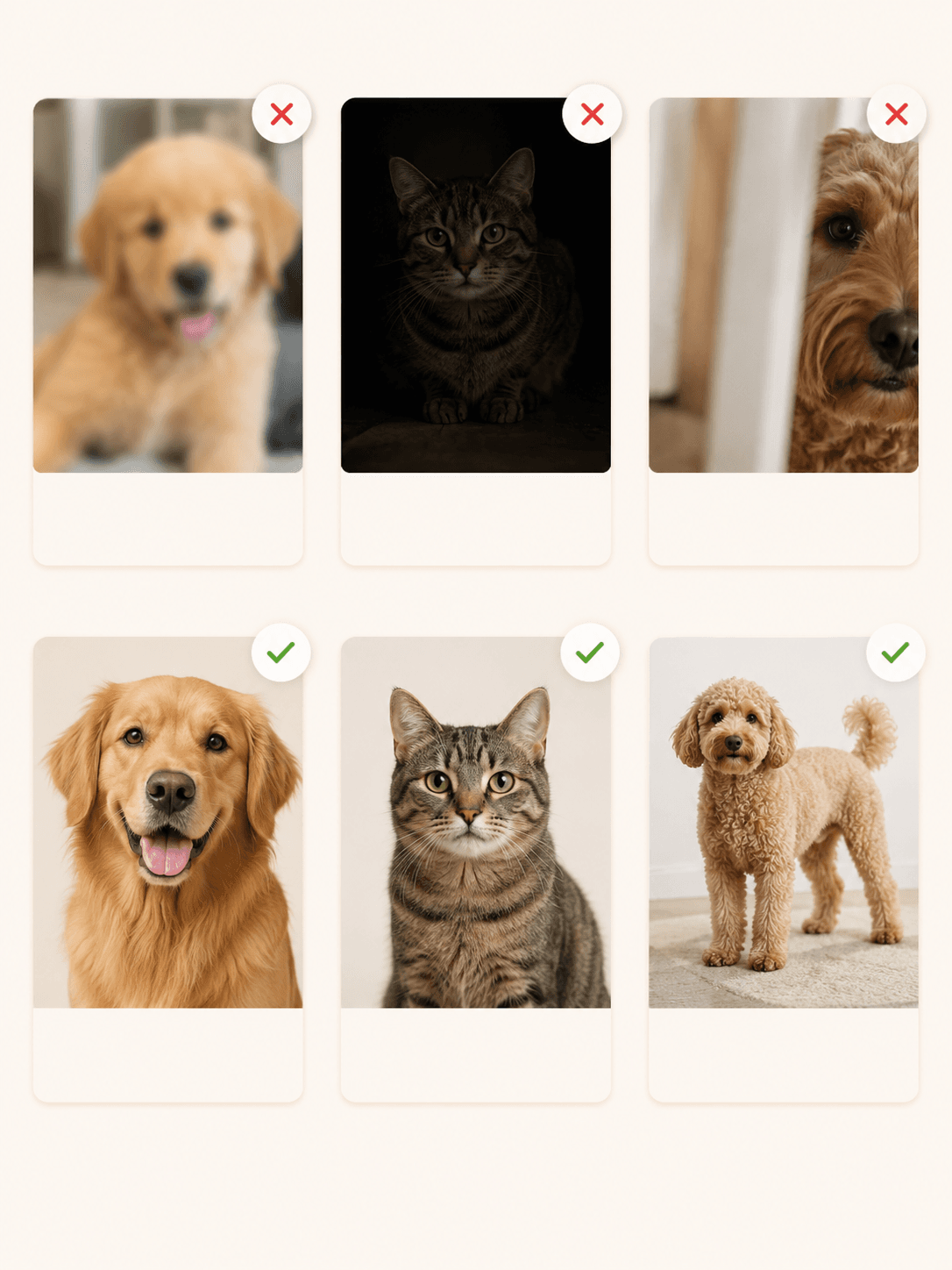 Custom Pet Photo Pillow lifestyle product image featuring personalized dog or cat photo pillow keepsake