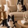 Custom Pet Photo Pillow detail and personalization image featuring personalized dog or cat photo pillow keepsake