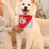 Custom Pet Portrait Bandana Personalized Dog and Cat Scarf Custom Pet Portrait Bandana main product view with personalized design details