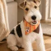 Custom Pet Portrait Bandana Personalized Dog and Cat Scarf Custom Pet Portrait Bandana gallery image 6 showing personalized design details