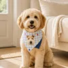 Custom Pet Portrait Bandana Personalized Dog and Cat Scarf Custom Pet Portrait Bandana gallery image 4 showing personalized design details