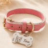 Color options for custom pet portrait collars in brown, blue, and pink with personalized charms