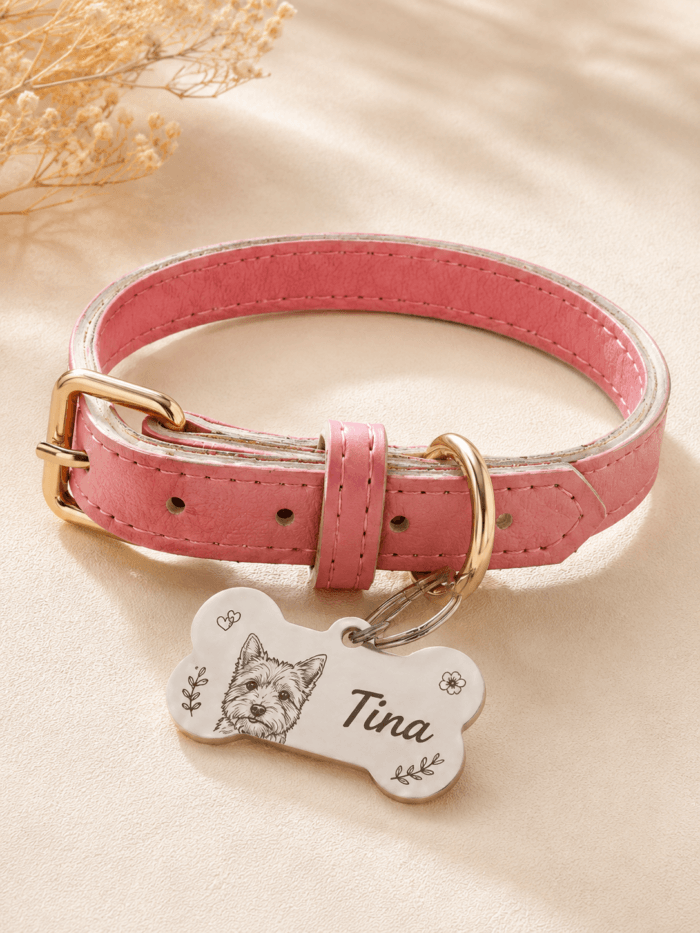 Color options for custom pet portrait collars in brown, blue, and pink with personalized charms