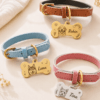 Border collie wearing a custom pet portrait collar with a personalized bone-shaped charm in warm natural light