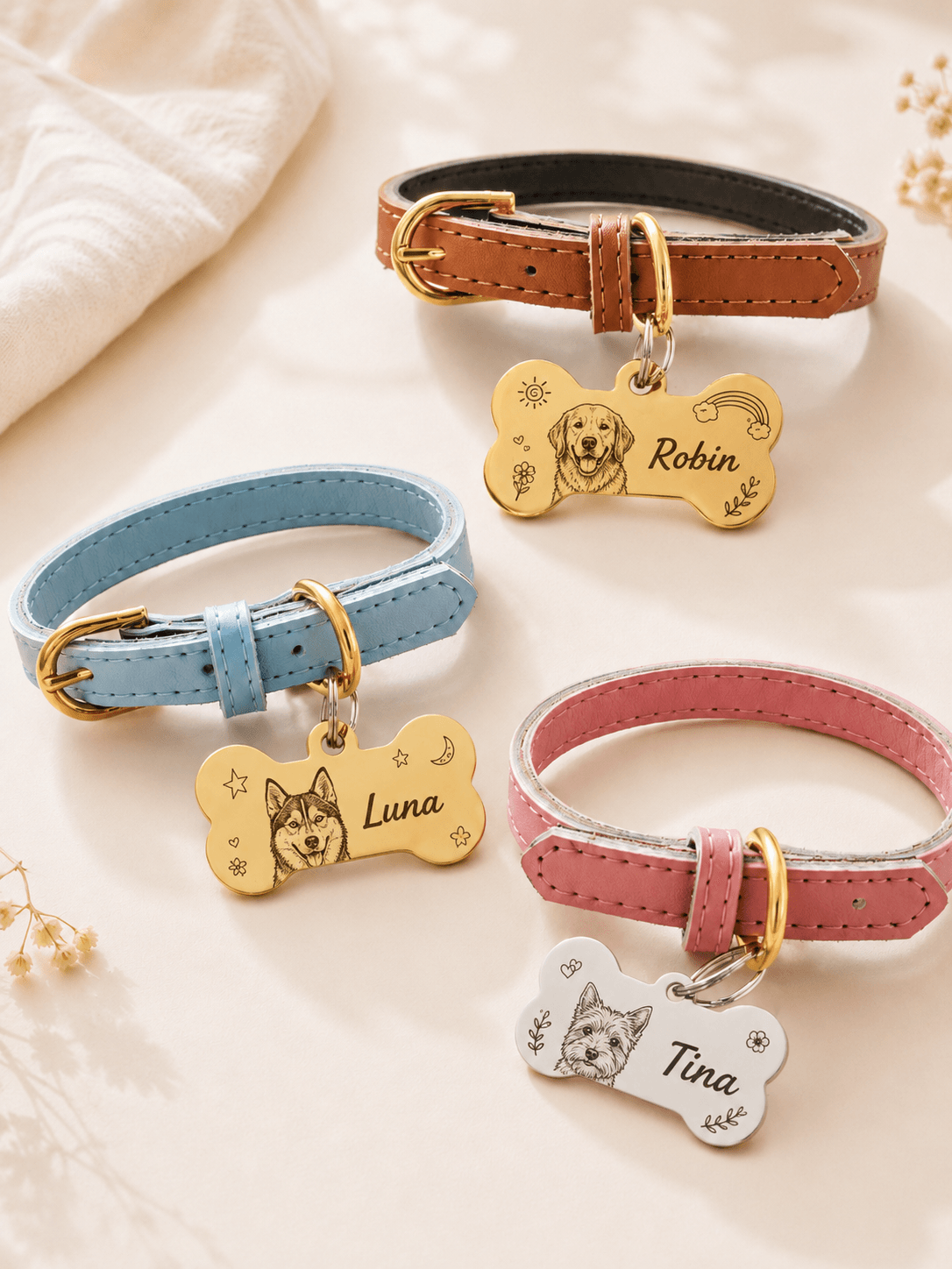 Border collie wearing a custom pet portrait collar with a personalized bone-shaped charm in warm natural light
