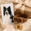 Custom Pet Portrait Collar detail and personalization image featuring custom pet portrait collar and photo tag design
