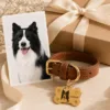 Custom Pet Portrait Collar gallery image 5 with custom dog or cat portrait detail by IPAWLIO