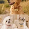 Custom Pet Portrait Collar gallery image 6 with custom dog or cat portrait detail by IPAWLIO