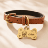 Color options for custom pet portrait collars in brown, blue, and pink with personalized charms