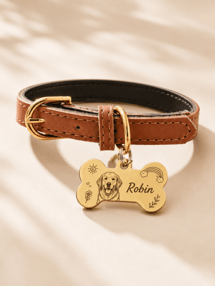 Color options for custom pet portrait collars in brown, blue, and pink with personalized charms