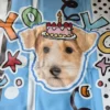 Custom Pet Photo Cooling Mat | Personalized Dog & Cat Summer Mat | IPAWLIO