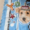 Custom Pet Photo Cooling Mat | Personalized Dog & Cat Summer Mat | IPAWLIO