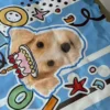 Custom Pet Photo Cooling Mat | Personalized Dog & Cat Summer Mat | IPAWLIO